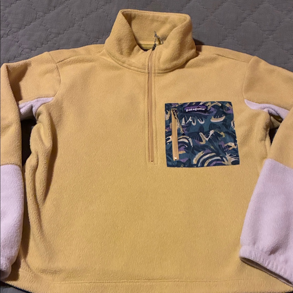 Patagonia Women’s Microdini 1/2 Zip Fleece Sweater